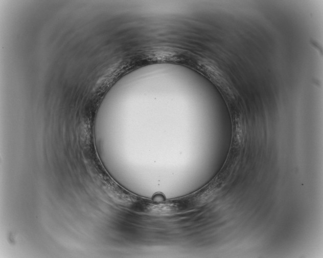 X0000099550461200805301524