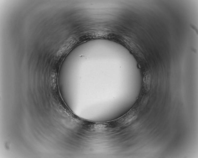 X0000099550462200805301524