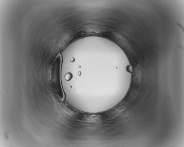 X0000099550463200805301524