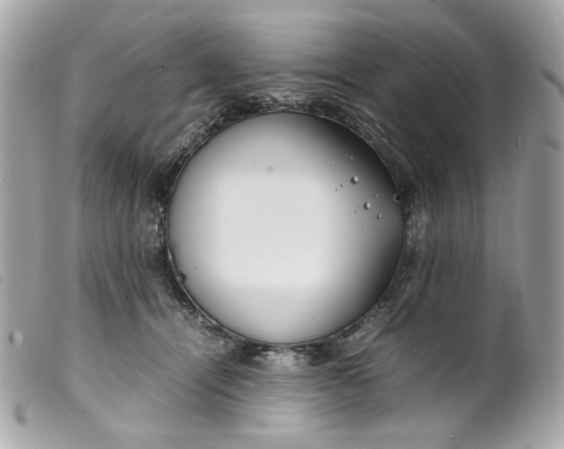 X0000099550464200805301524