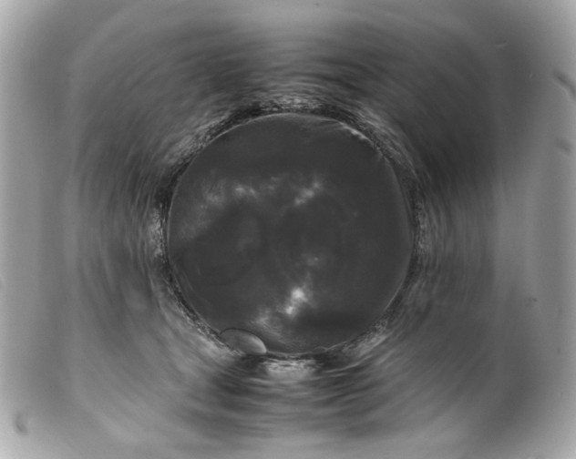 X0000099550465200805301524