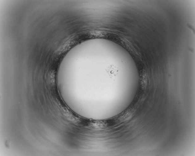 X0000099550466200805301524