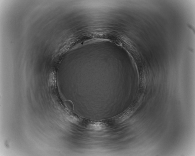 X0000099550467200805301524