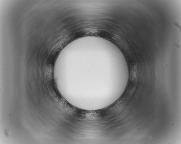 X0000099550468200805301524