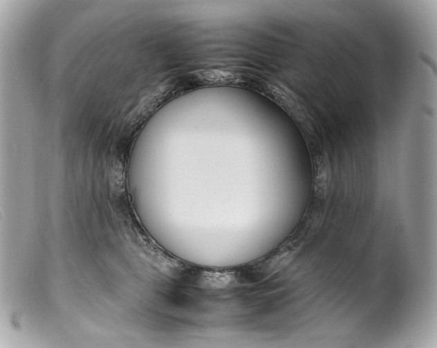 X0000099550469200805301524