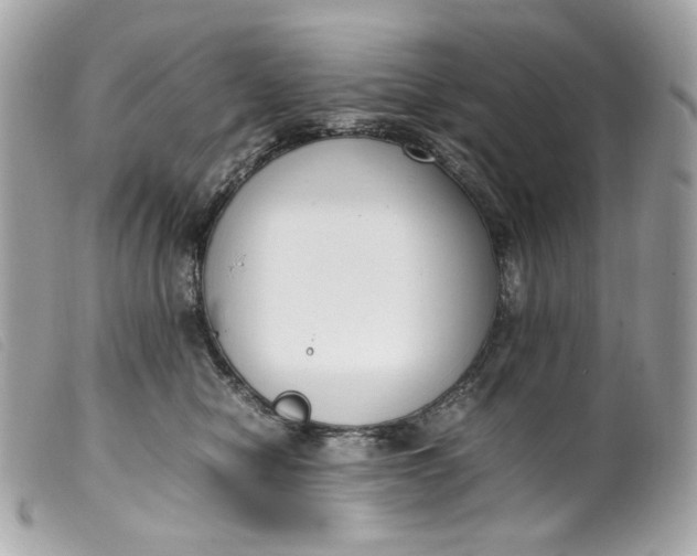 X0000099550470200805301524