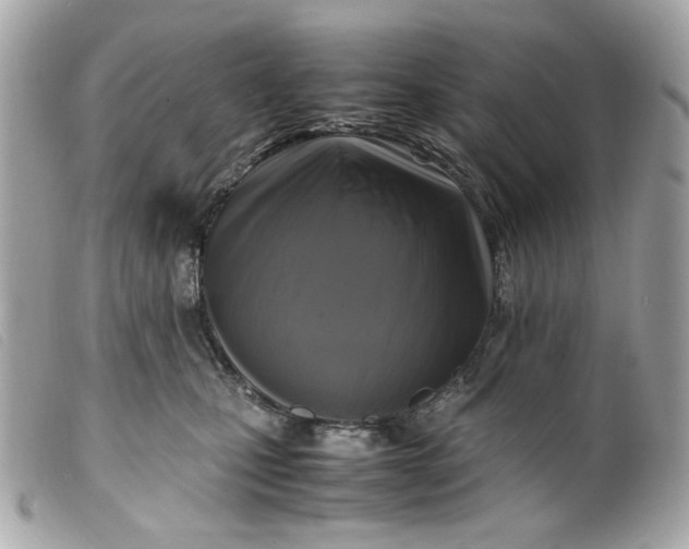 X0000099550471200805301524