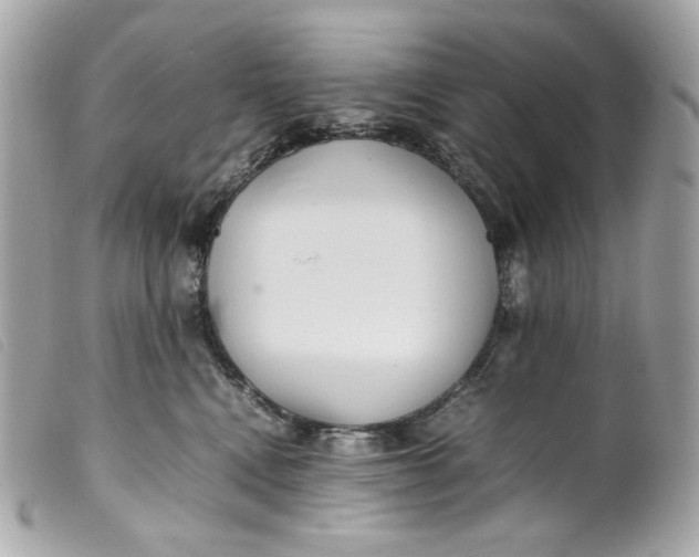 X0000099550472200805301524