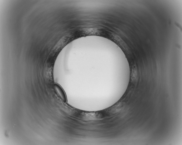 X0000099550473200805301524