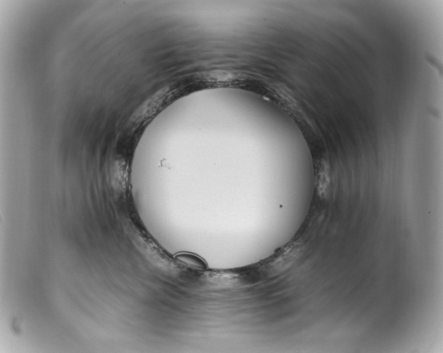 X0000099550476200805301524