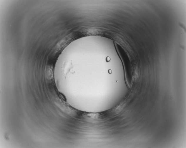 X0000099550478200805301524