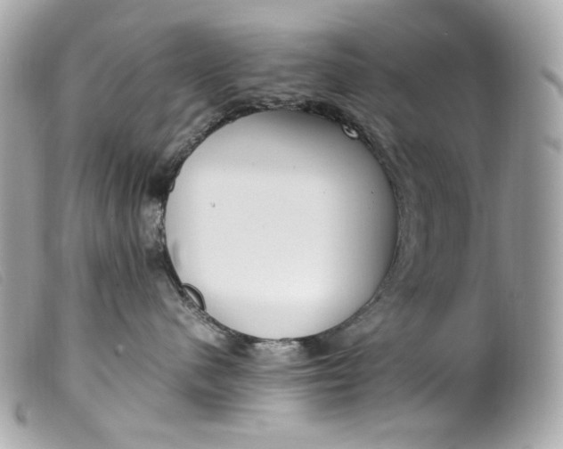 X0000099550480200805301524