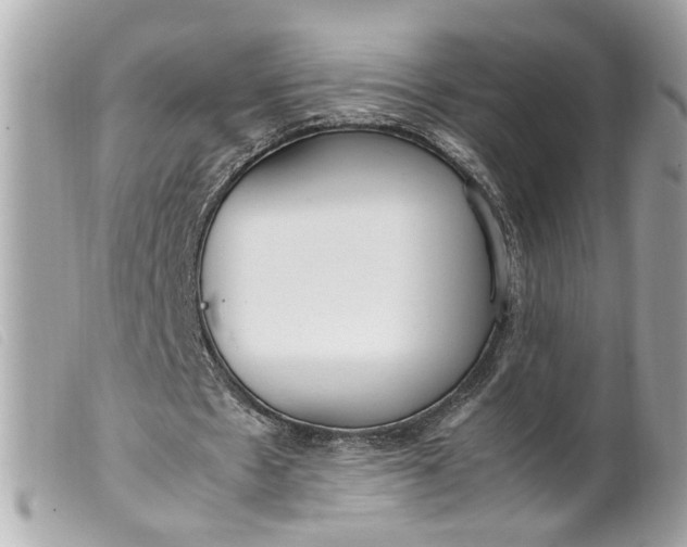 X0000099550481200805301524