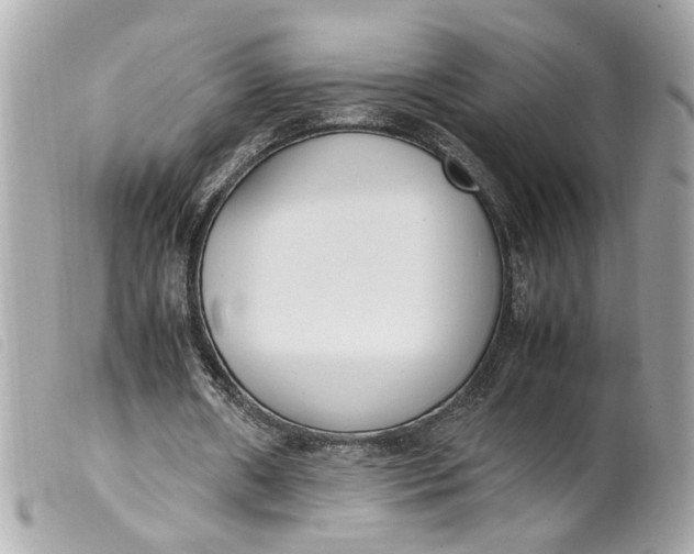 X0000099550482200805301524