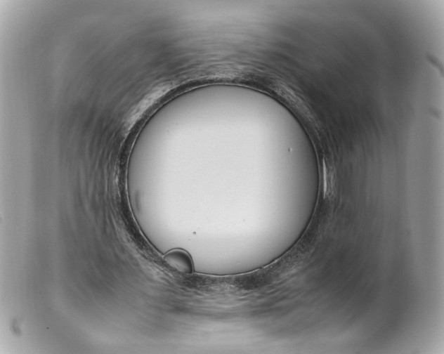 X0000099550483200805301524