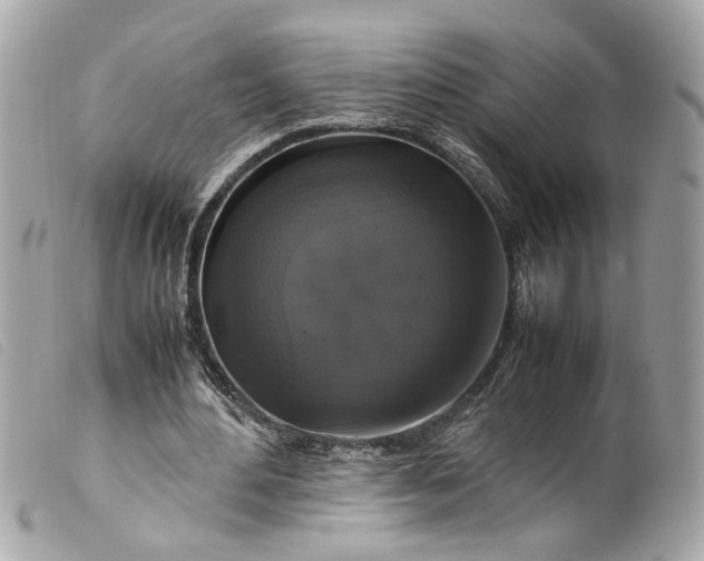 X0000099550484200805301524