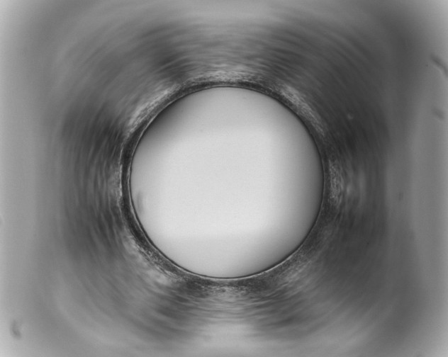 X0000099550486200805301524