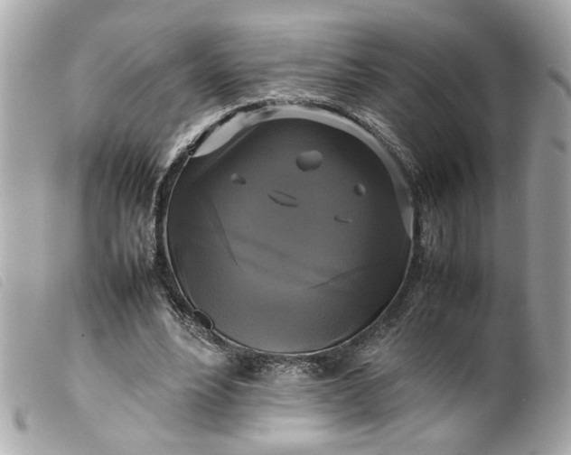 X0000099550488200805301524