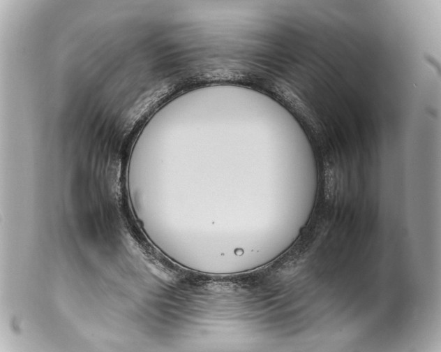 X0000099550490200805301524