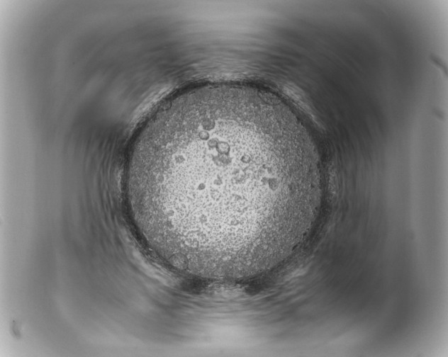 X0000099550491200805301524