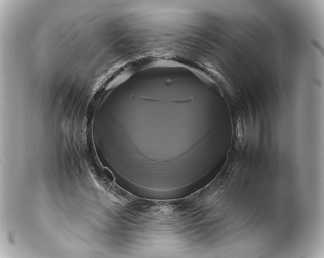 X0000099550492200805301524