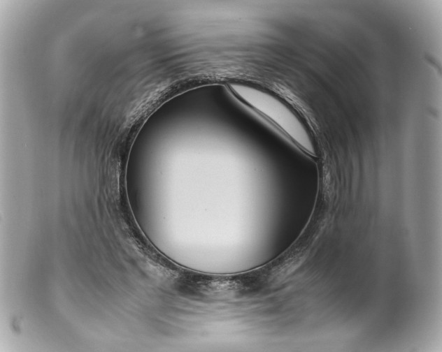 X0000099550493200805301524