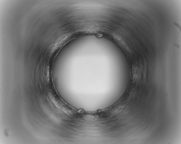 X0000099550494200805301524