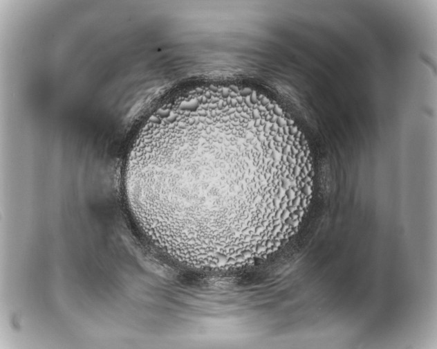 X0000099550495200805301524