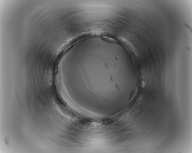 X0000099550496200805301524