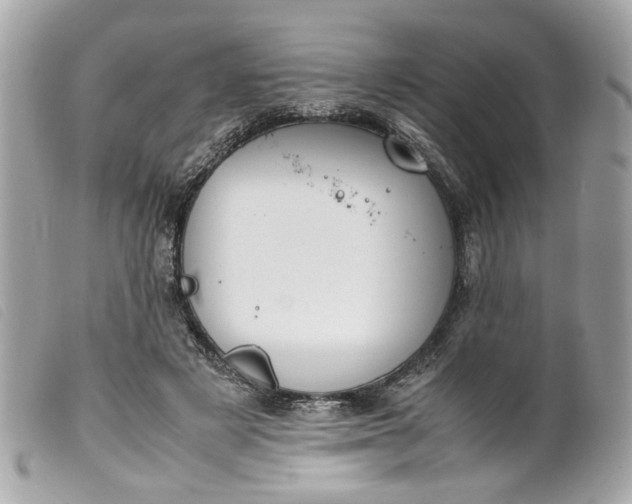 X0000099550497200805301524