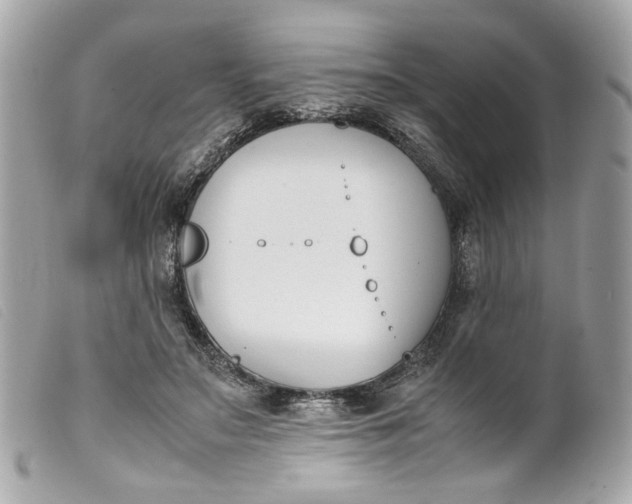 X0000099550499200805301523