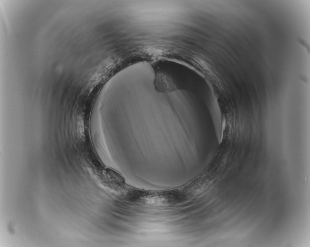 X0000099550500200805301523