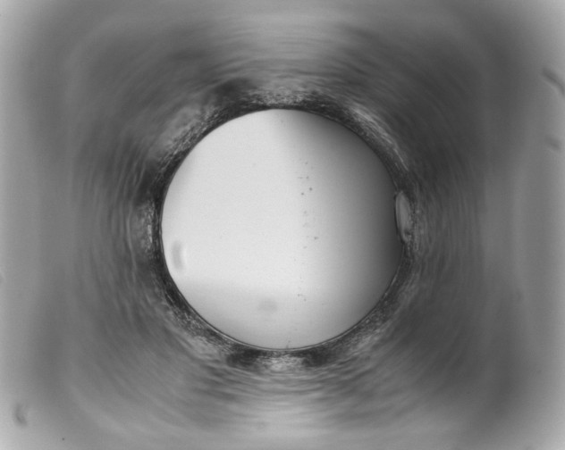 X0000099550501200805301523