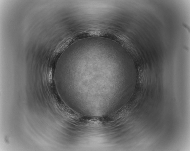 X0000099550502200805301523