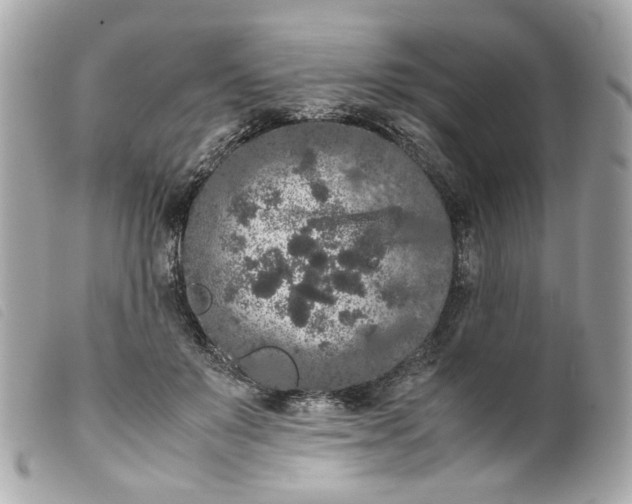 X0000099550503200805301523