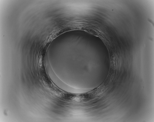 X0000099550504200805301523