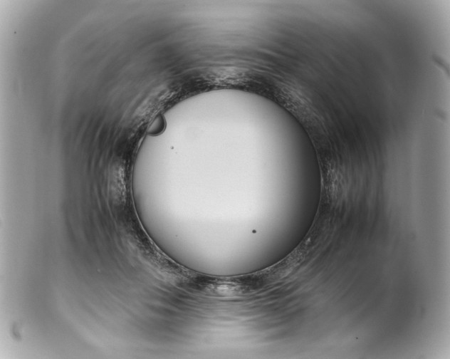 X0000099550506200805301523