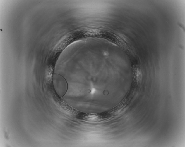 X0000099550507200805301523