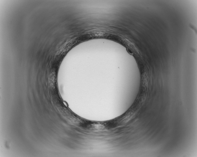 X0000099550509200805301523