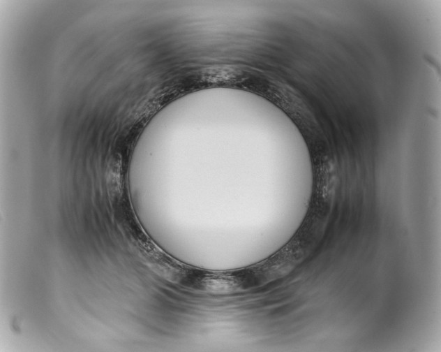 X0000099550510200805301523