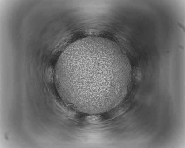 X0000099550511200805301523