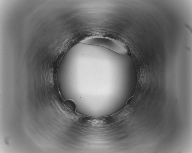 X0000099550512200805301523