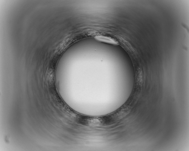 X0000099550513200805301523