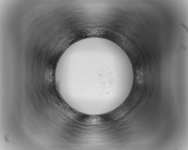 X0000099550514200805301523