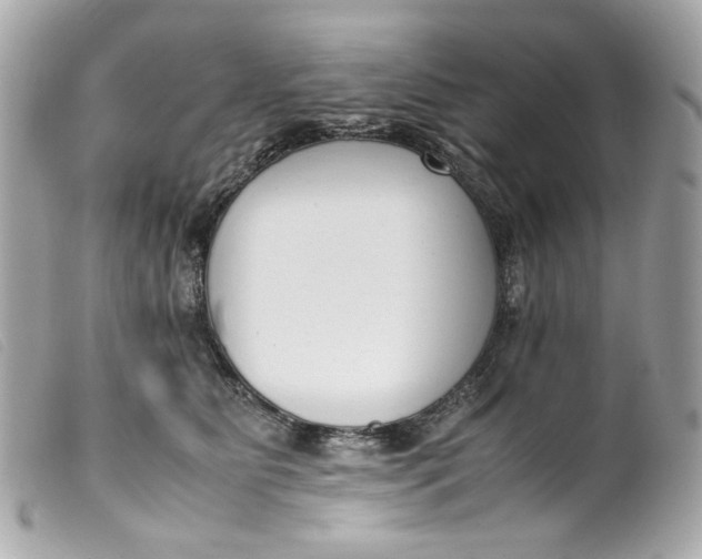 X0000099550515200805301523