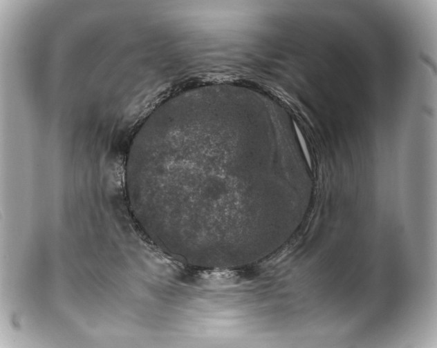 X0000099550517200805301523