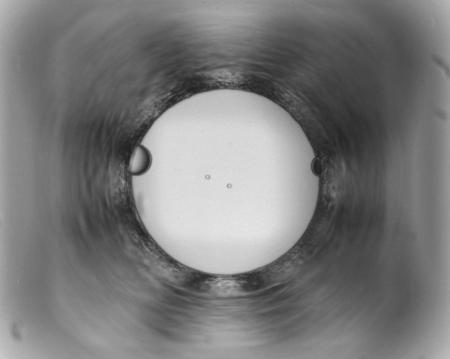 X0000099550518200805301523