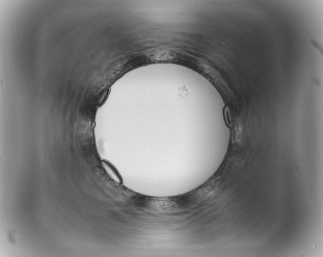 X0000099550521200805301523