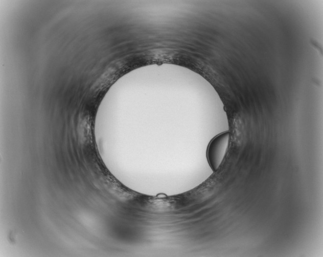 X0000099550522200805301523