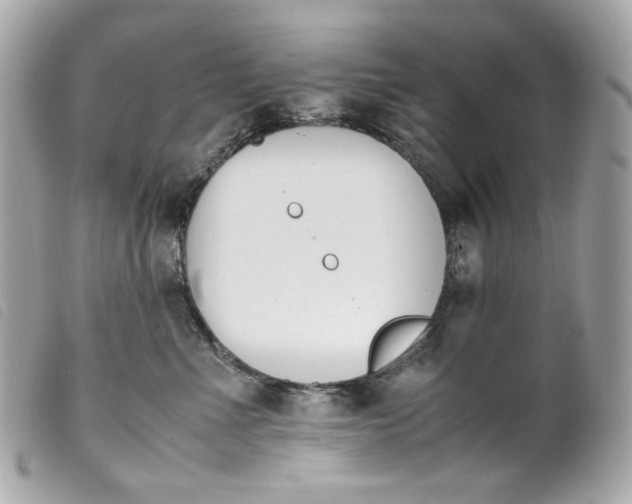 X0000099550523200805301523